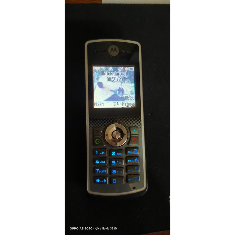 Motorola w181