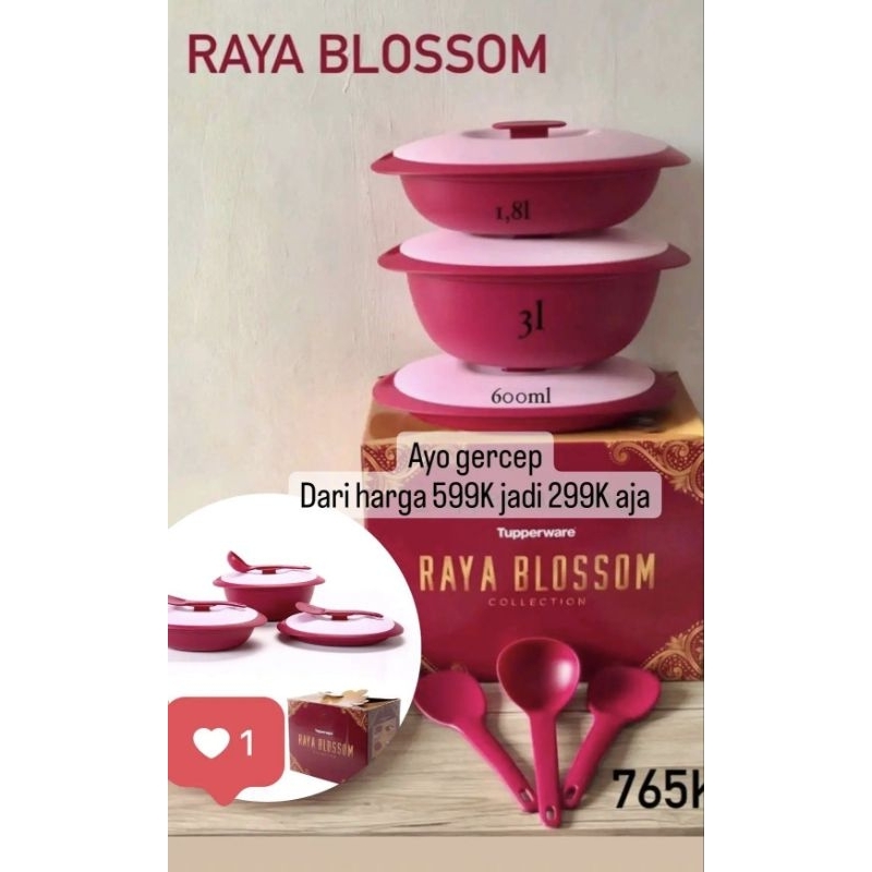 Raya Blossom Tupperware