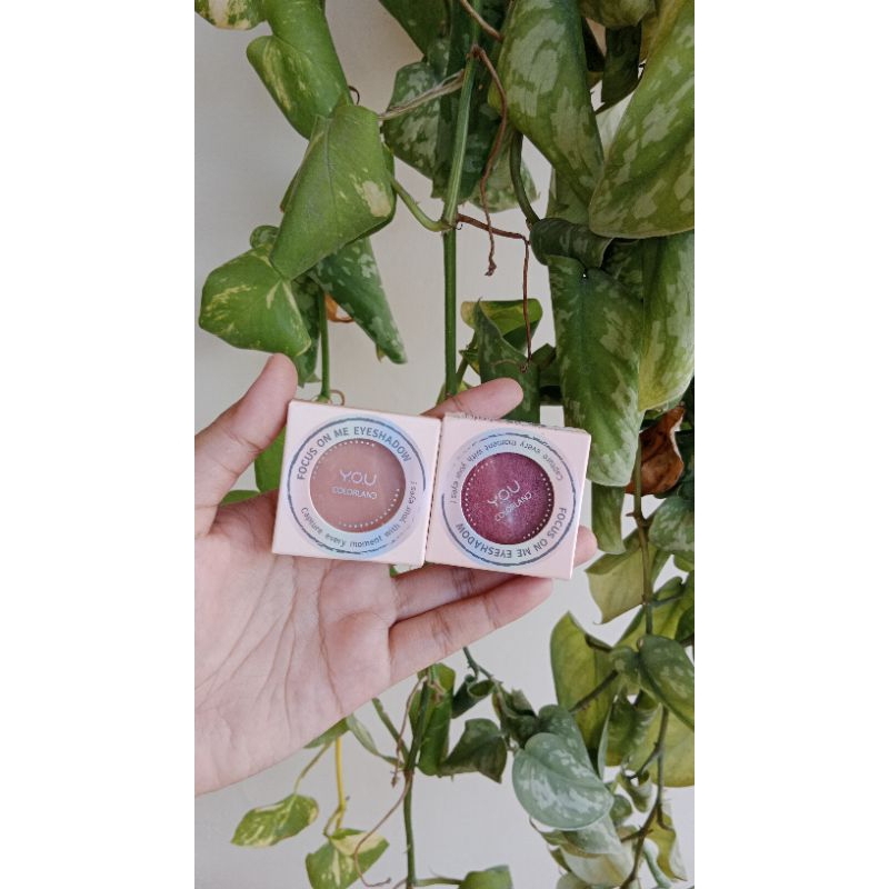 you colorand focus on me eyeshadow