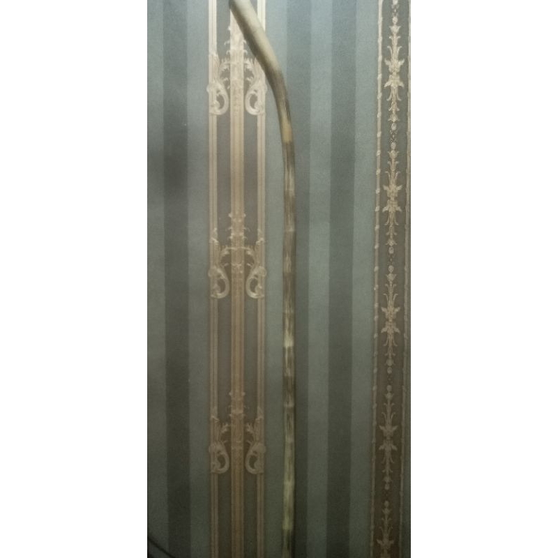 tongkat kayu ruyung asli