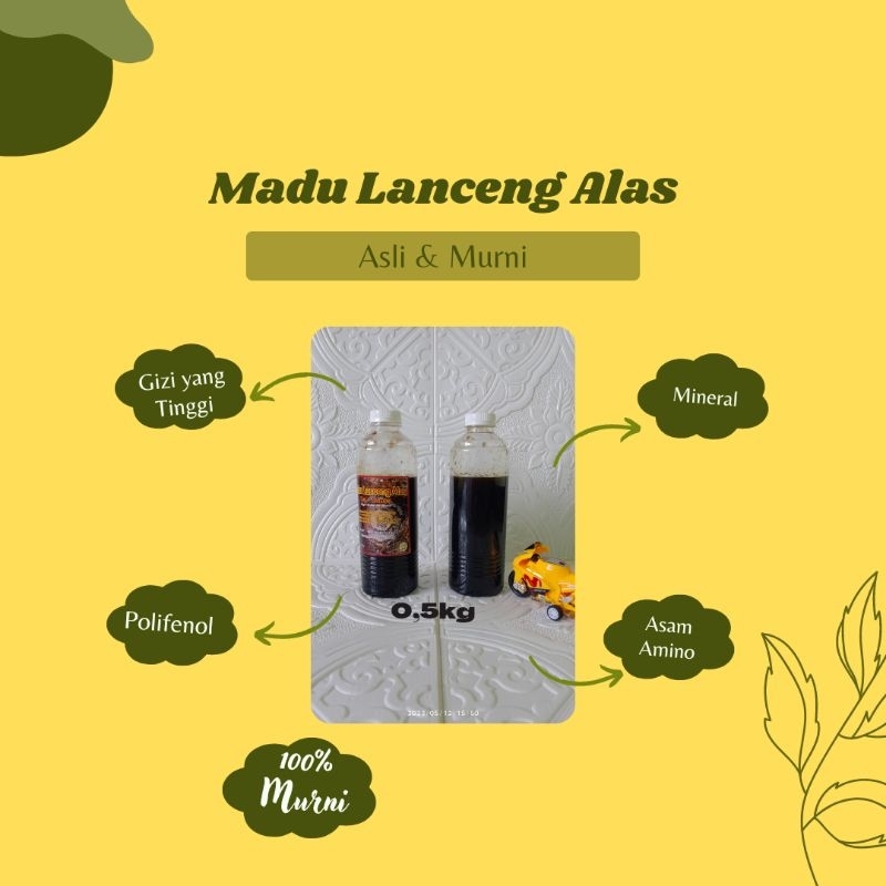 

Madu Lanceng Asli