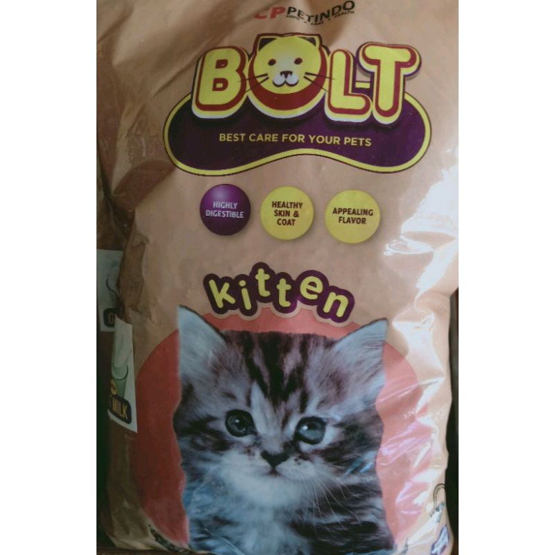 bolt kitten
