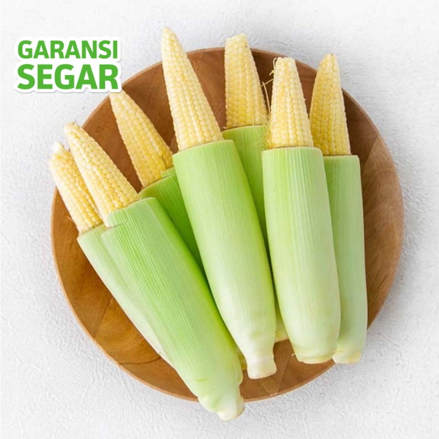 

Jagung Baby Corn 500 Gram