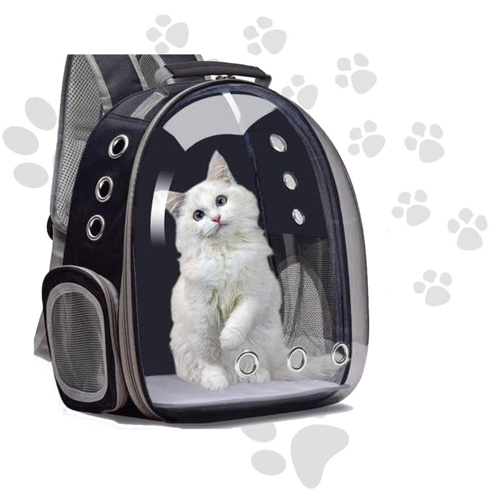 Tas Kucing Astronot Transparan