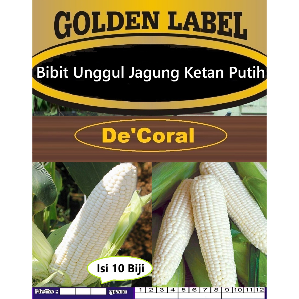 Bibit Unggul Jagung Ketan Putih|Biji Benih Jagung Putih|Biji Bibit Jagung Putih