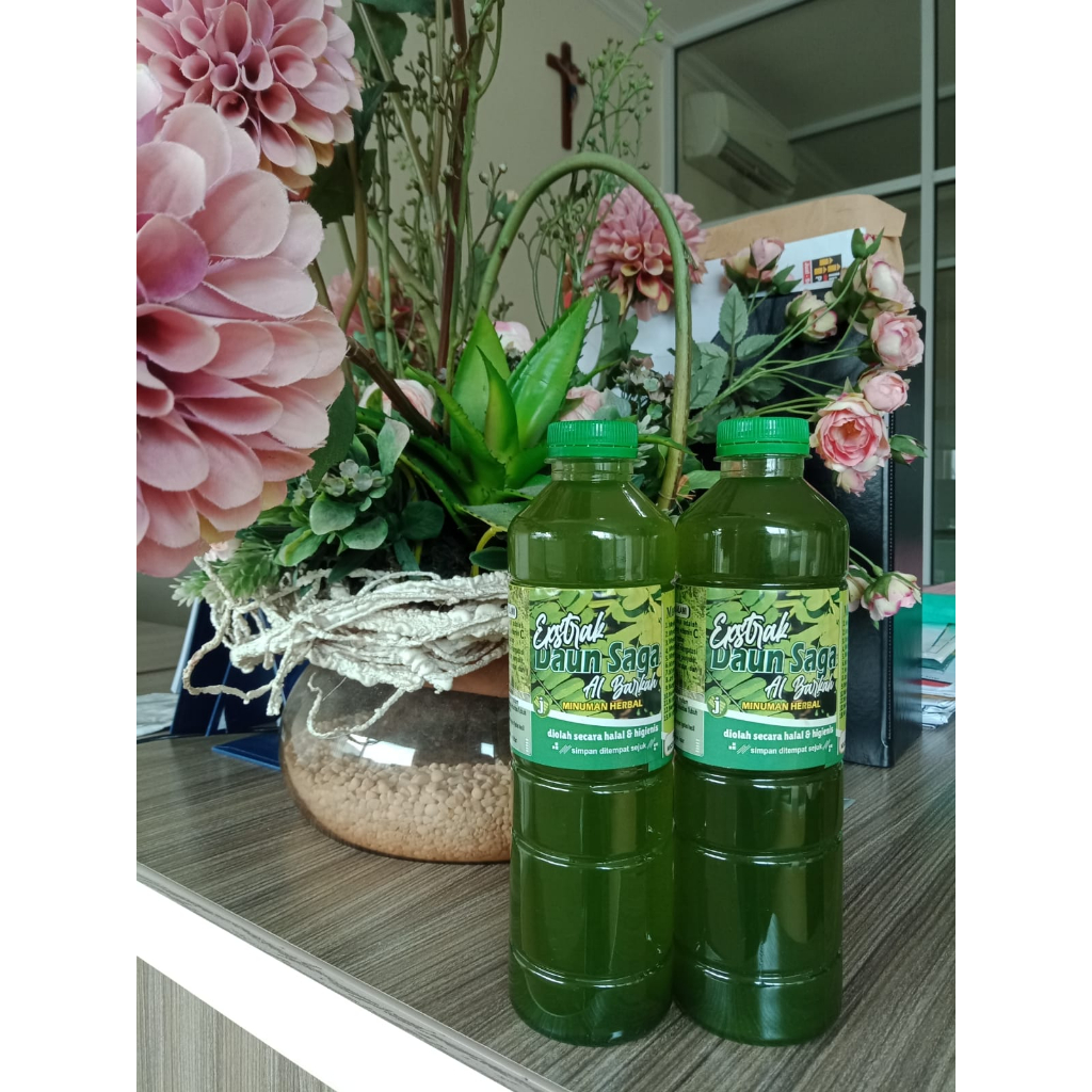 

Air Daun saga segar | daun sogo | Minuman herbal alami AL BARKAH 500ML