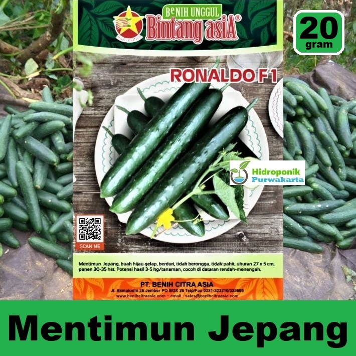 Benih Mentimun Timun Jepang Ronaldo F1 20 gram Cap Bintang Asia
