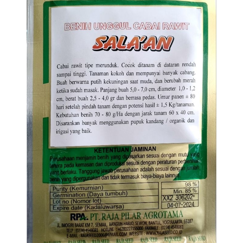 benih cabai rawit putih sala'an