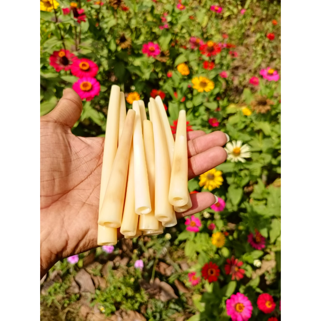 Padudan Once Tulang Murah Meriah