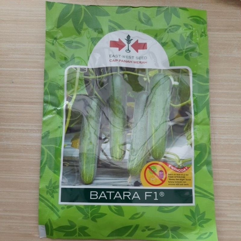 Benih Timun Batara Mentimun Batara F1 800 butir - Cap Panah Merah