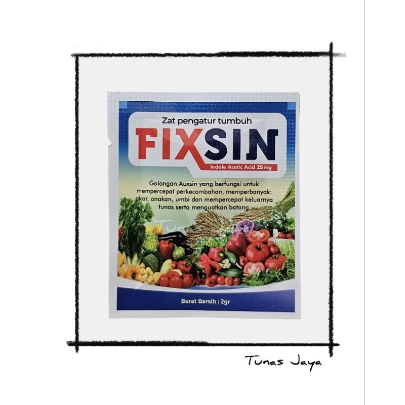 Zpt auxsin Fixsin 2 gr