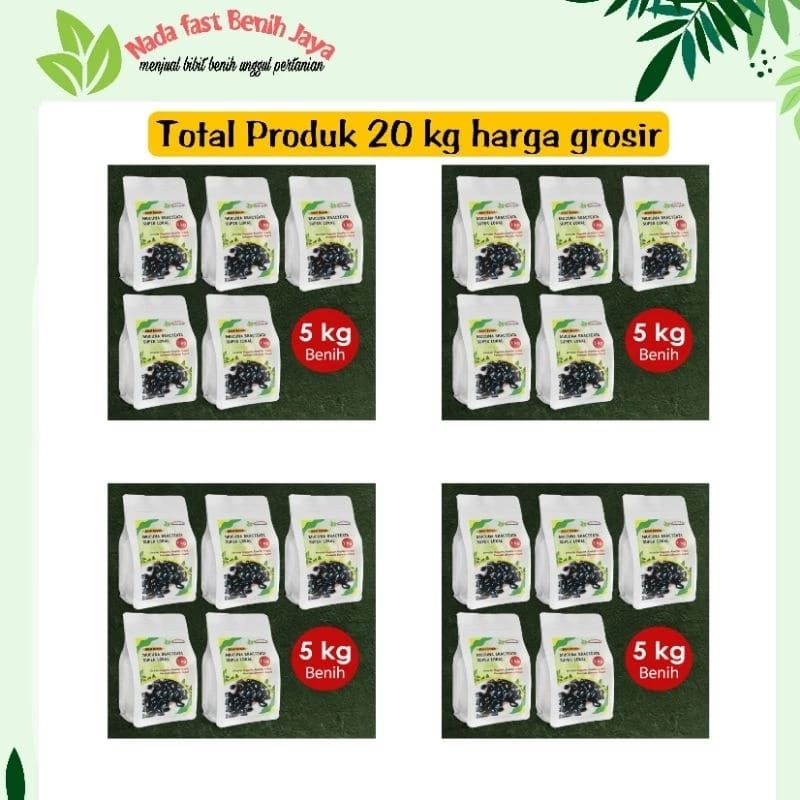 BENIH MUCUNA BRACTEATA 20 KG SUPER LOKAL HEMAT / BIBIT MUCUNA KACANG KACANGAN