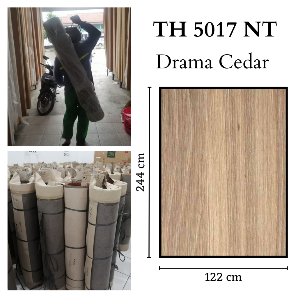TACO 5017 NT DRAMA CEDAR GOSEND BANDUNG