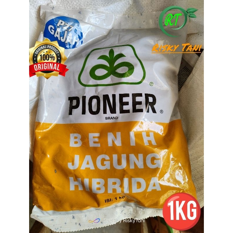 benih jagung p27 gajah kemasan 1kg p27 extra