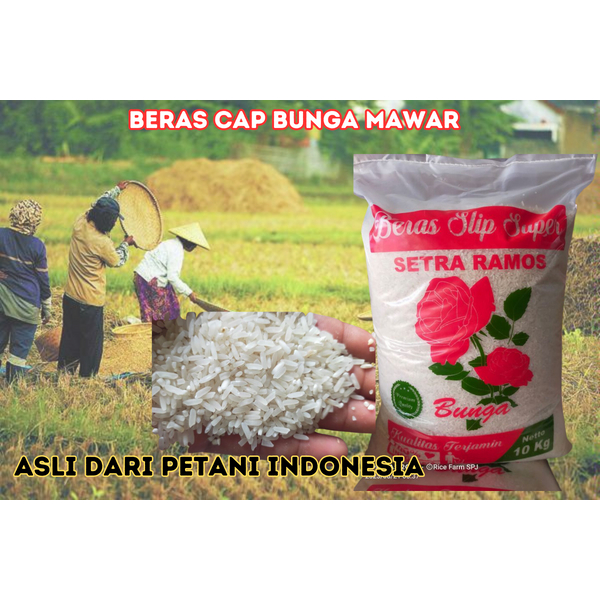 

Beras Cap Mawar | Beras Asli Langsung Dari Petani Padi