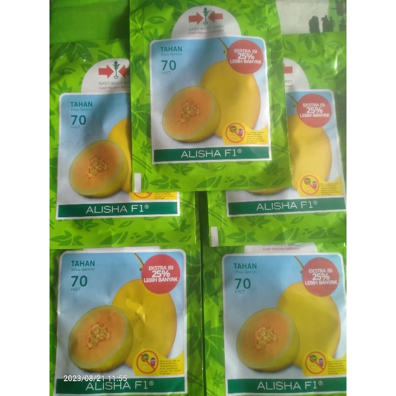 Fore sale Benih Melon Golden ALISHA isi 500 Butir