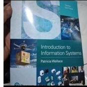 

introduction to information systems third edition patricia