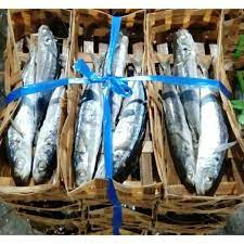 

Ikan Pindang Besek isi 3/4 ukuran sedang