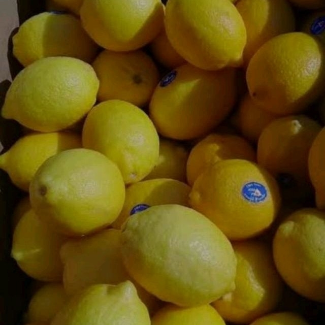 

[termurah] Lemon California 1 Kg