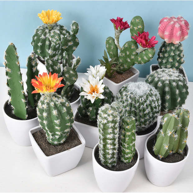 Sukulen Kaktus Plastik Artificial Cactus Tanaman Pohon Kaktus Mini