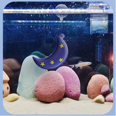 Bulan sabit aquarium, Hiasan aquarium bulan sabit, ornamen aquarium bulan sabit , dekorasi aquarium 