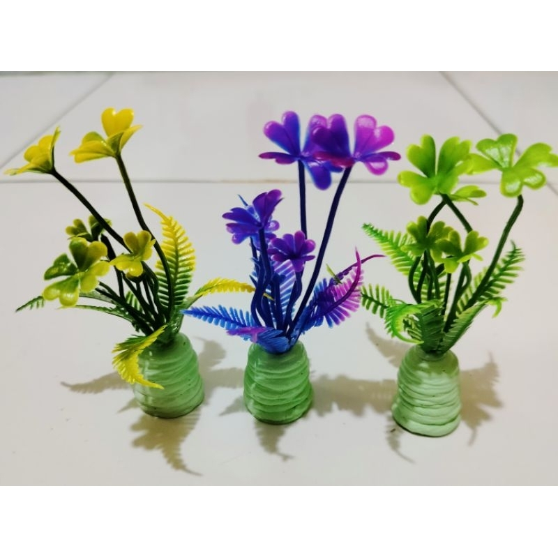 Tanaman lily mini aquarium, tanaman lily aquarium, tanaman lily, tanaman aquarium lily, tanaman air 