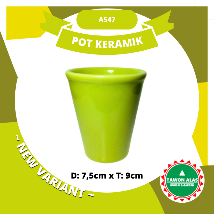 Pot Keramik Bonsai Bundar Tinggi Kecil