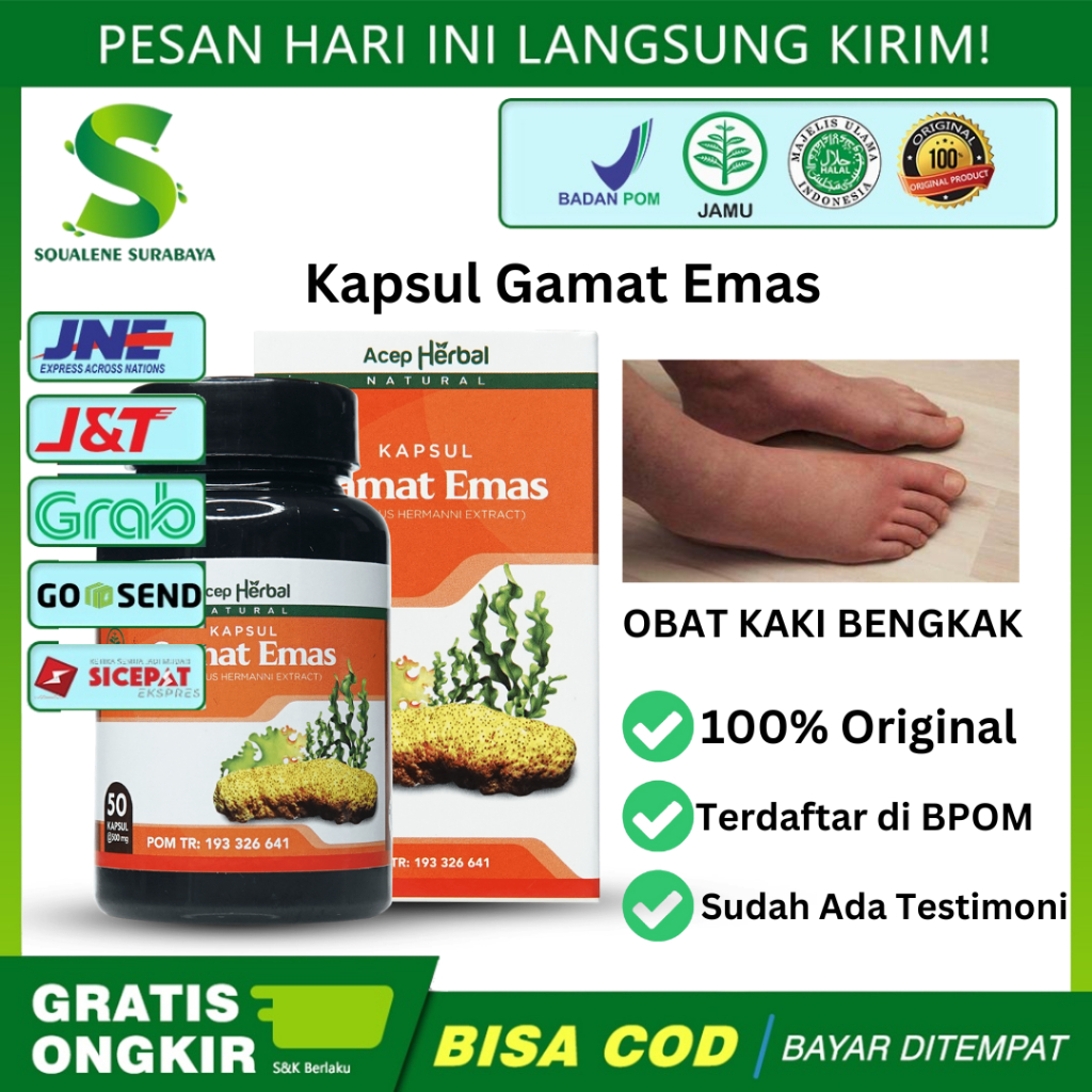 Kapsul Gamat Emas - Obat Kaki Bengkak,Asam Urat,Diabetes,Ginjal Penumpukan Cairan Edema
