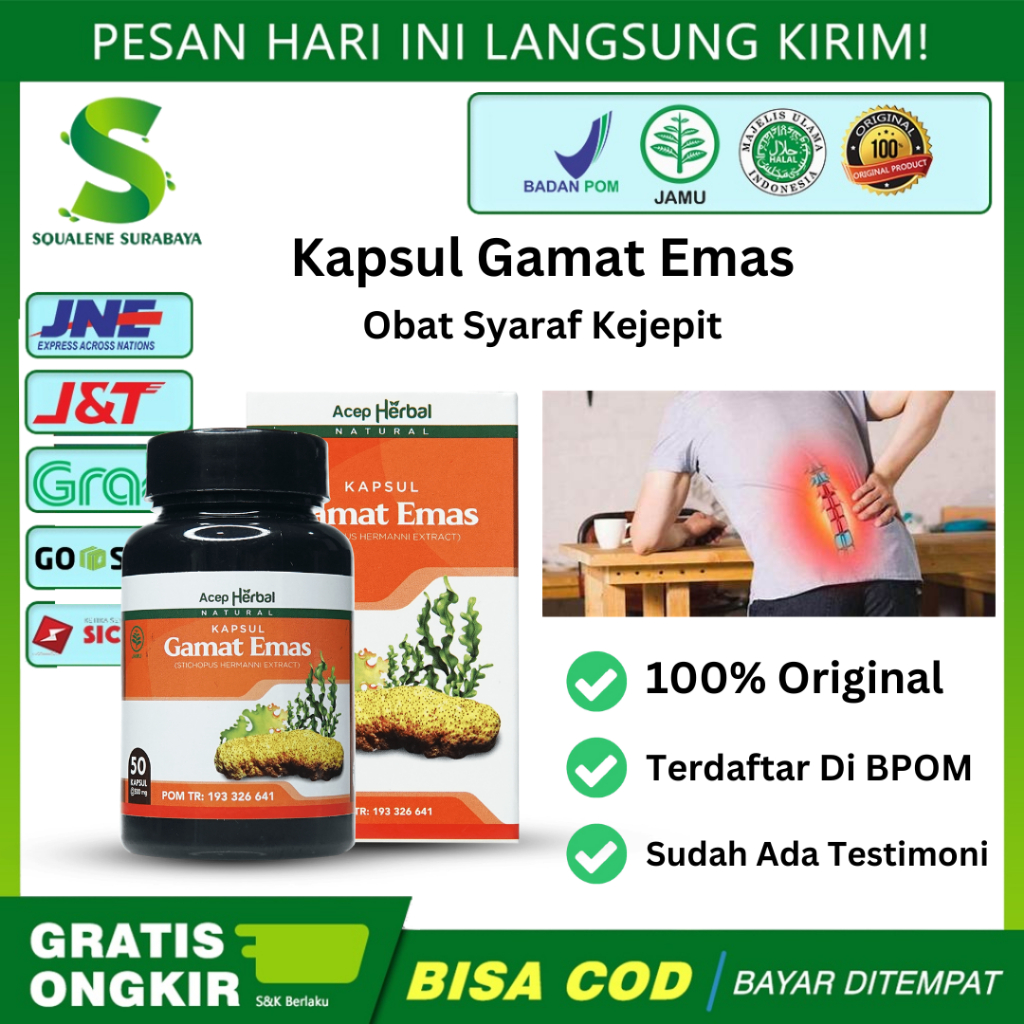 Kapsul Gamat Emas - Obat Syaraf Kejepit HNP,Obat Syaraf Kejepit,Obat Syaraf Kejepit Pinggang