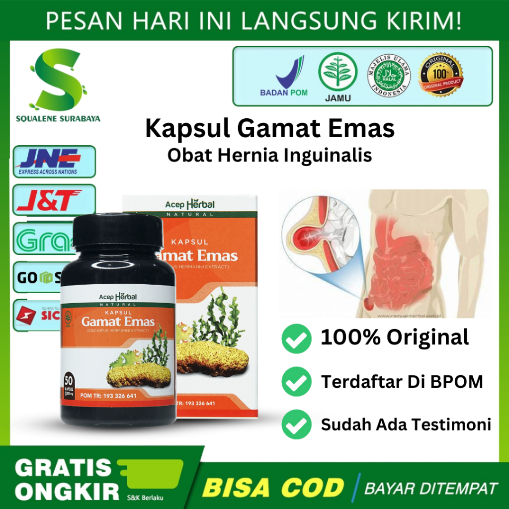 Kapsul Gamat Emas - Obat Hernia Turun Berok,Hernia Inguinalis,Hernia Femoralis,Hernia hiatus,Hernia 
