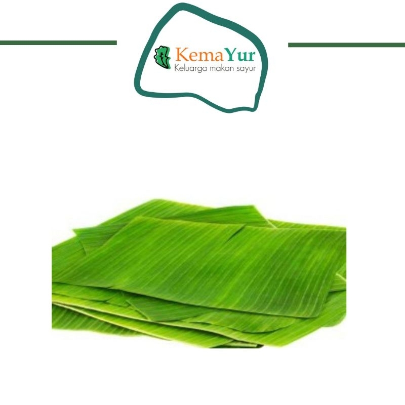 

DAUN PISANG 1 IKAT