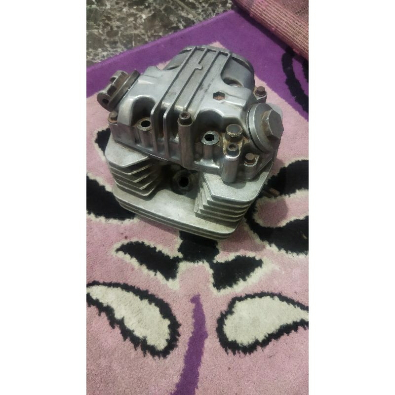 kop tiger