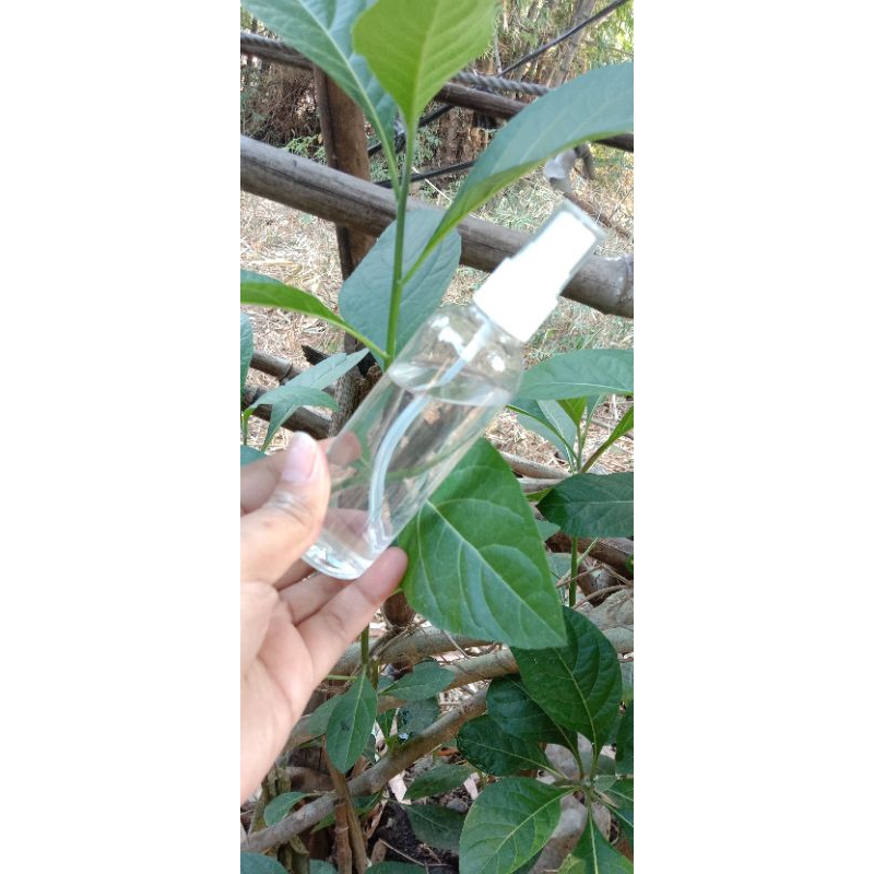 Parfum Sepatu QayyumSprayShoe