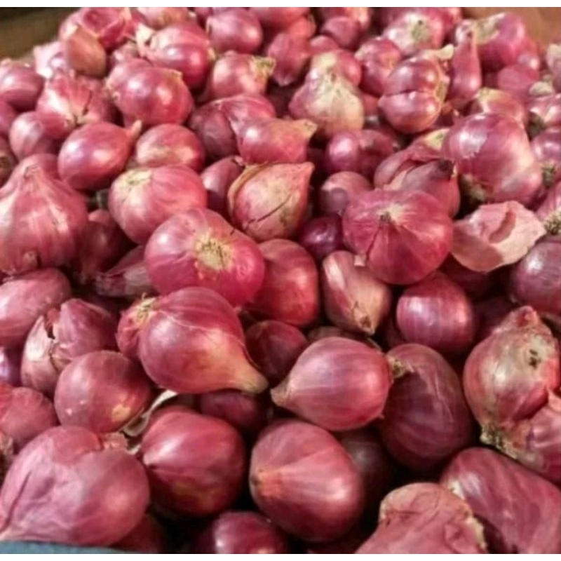 

Bawang merah Probolinggo murah
