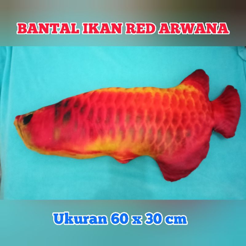 BANTAL IKAN ARWANA