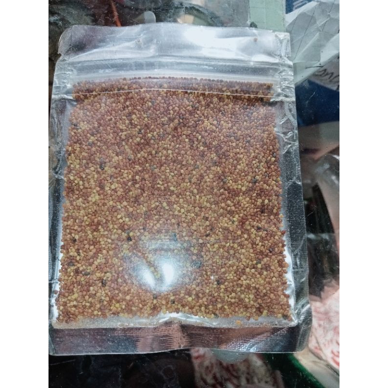 Bibit aquascape (10 Gram