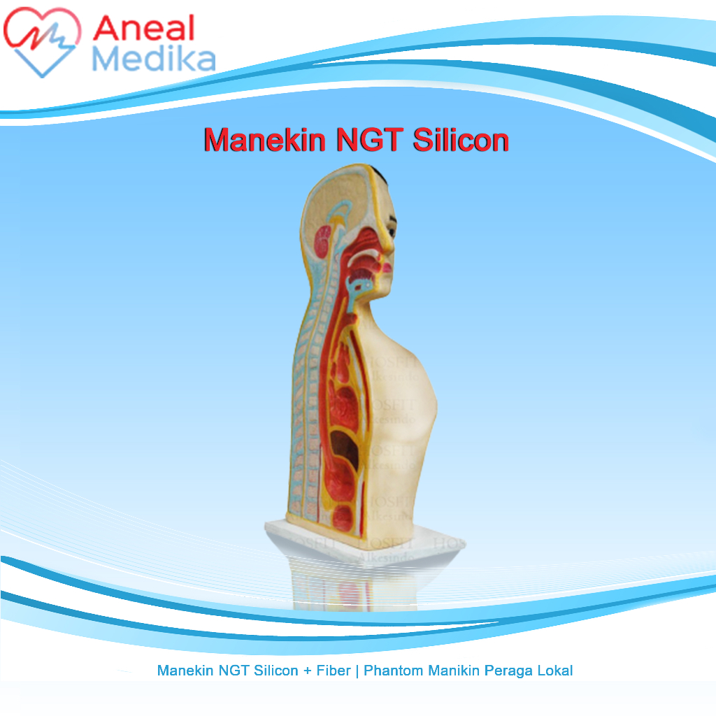 Manekin NGT Silicon + Fiber | Phantom Manikin Peraga Lokal