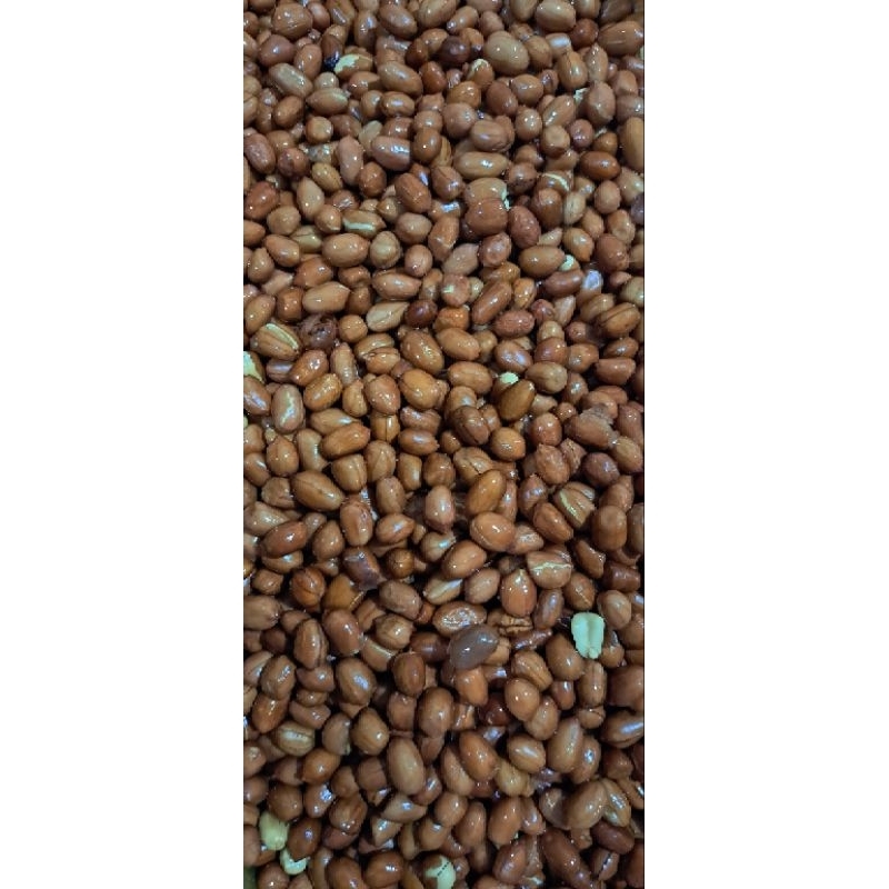 

kacang tanah goreng 100g asin kacang goreng cemilan kriuk