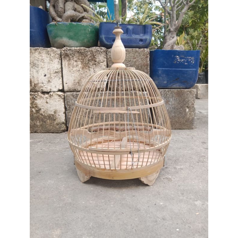 sangkar perkutut klasik minion tebok lepas mentahan