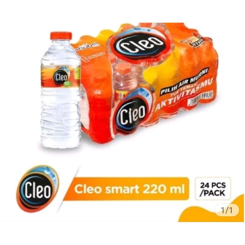 

air mineral cleo 220ml