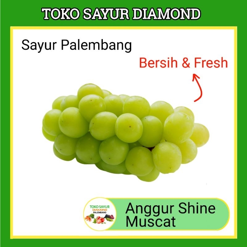 

Buah Anggur Hijau Shine Muscat - Buahan Segar Online Palembang