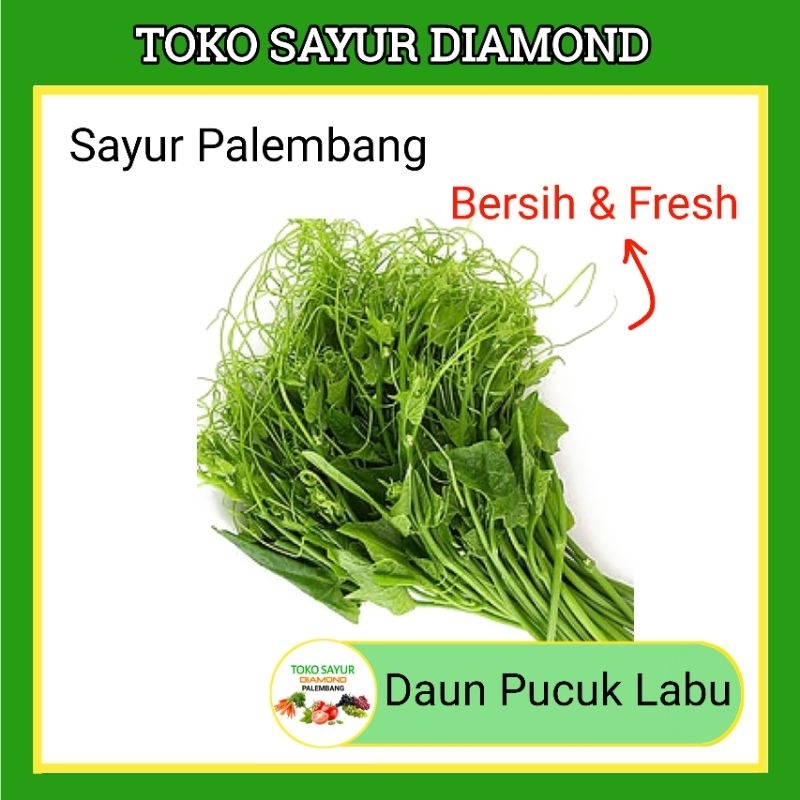 

Daun Pucuk Labu Pucuk Per Ikat - Sayur Segar Palembang