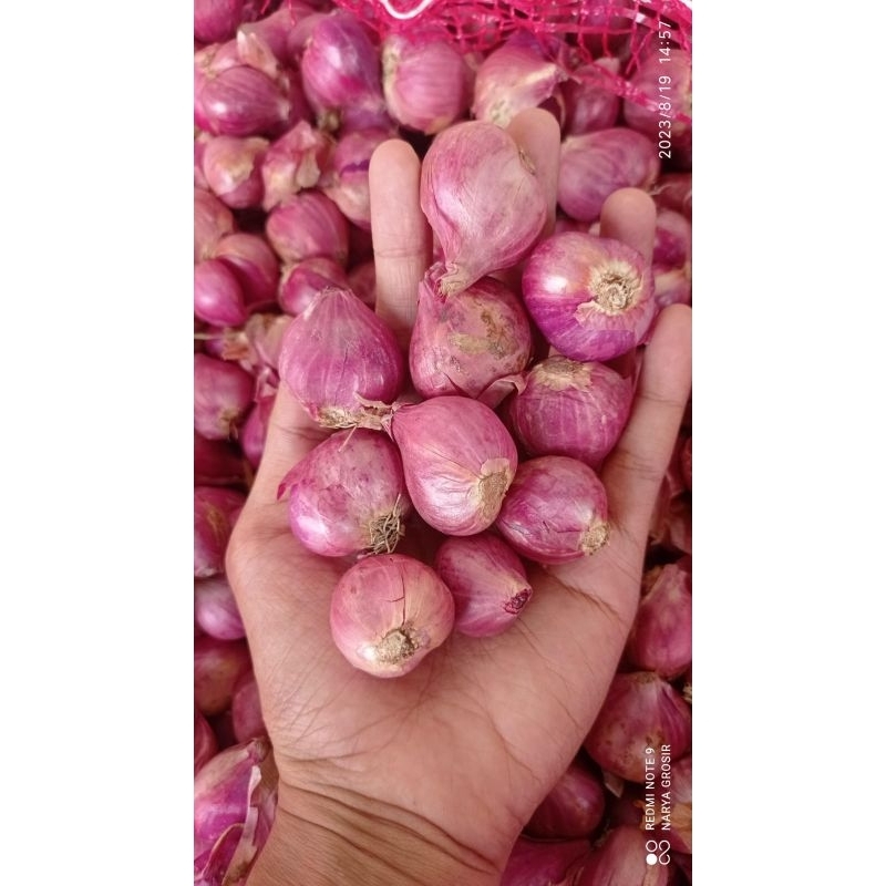 

Brambang / bawang merah 1 kg / brambang lokal 1 kg / brambang garing