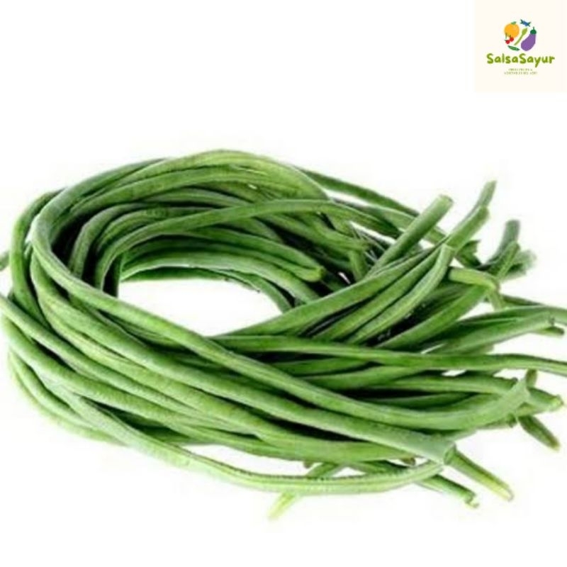 

Kacang Panjang segar