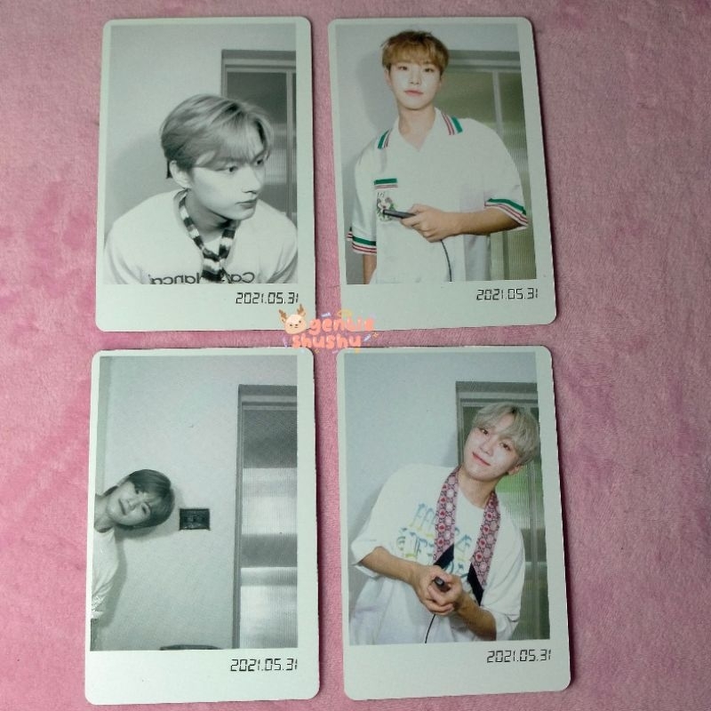 POLA DICON SEVENTEEN