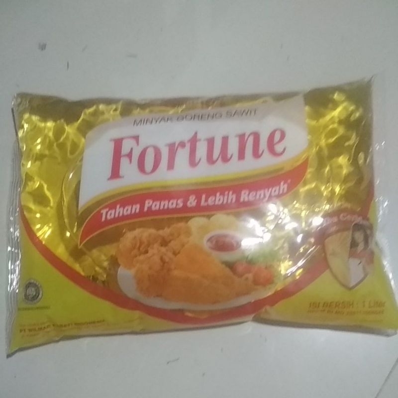 

Fortune pillow 1 lter