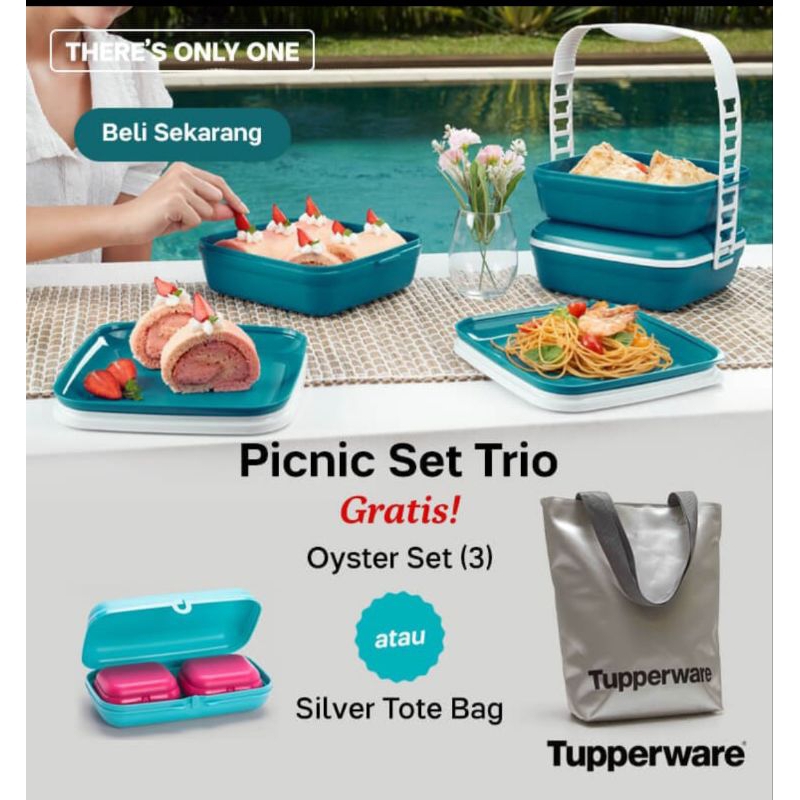 Picnic Set Trio Tupperware