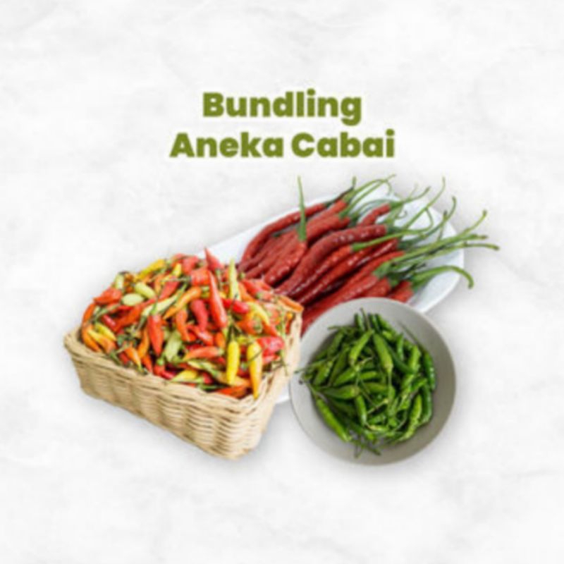 

Aneka Cabai Bundling