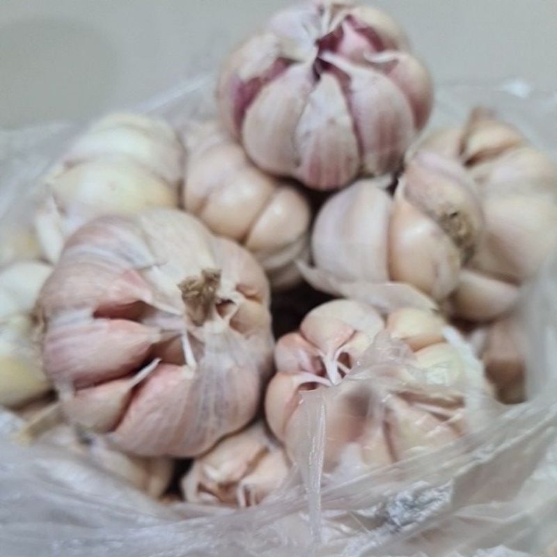 

bawang putih 500 g
