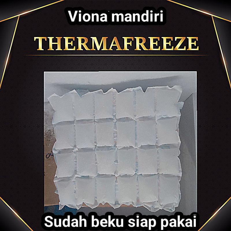 

Thermafreeze /Ice Gel Lemabaran / Ice gel pack / sudah beku Siap pakai